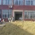 山东带绒金银花色白花无杆，产地直销质量保证