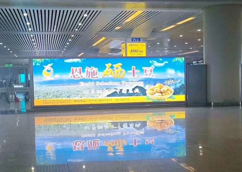 恩施老品种马尔科土豆