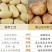 恩施老品种马尔科土豆