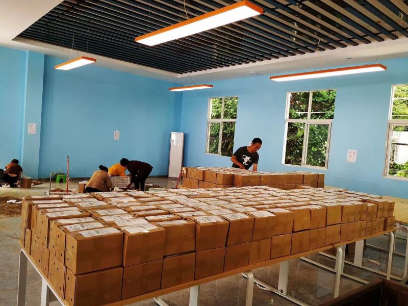 恩施老品种马尔科土豆