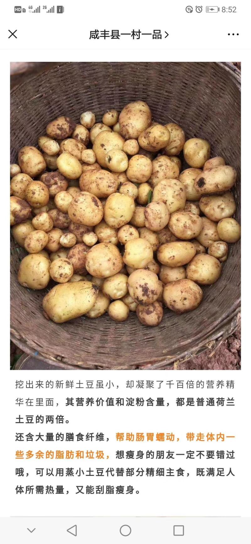 恩施老品种马尔科土豆