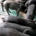 苏太母猪馊肉率高乳头饱满支持视频选货线上交易2起