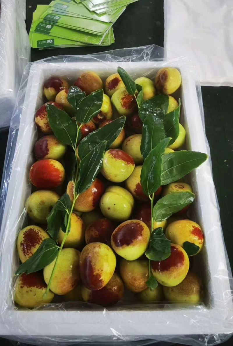 新疆牛奶脆枣，甜蜜暴击。现采现发新鲜冬枣特级大果全国可发