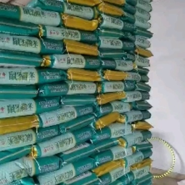 丰两优大米湖北洪湖区域基地订单种植，纯正，假一赔十