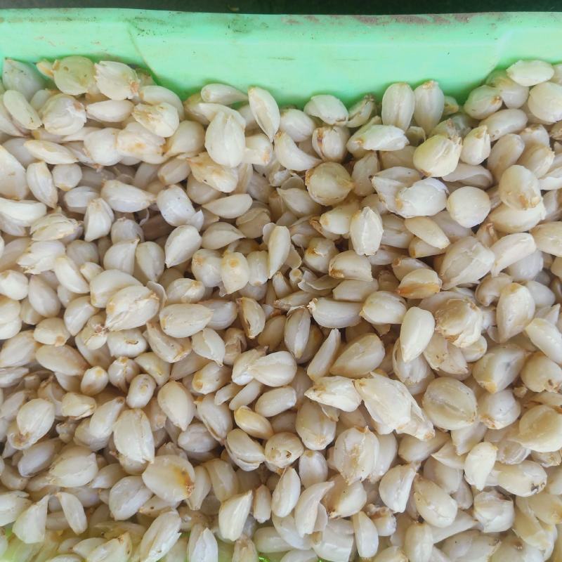兰州百合干