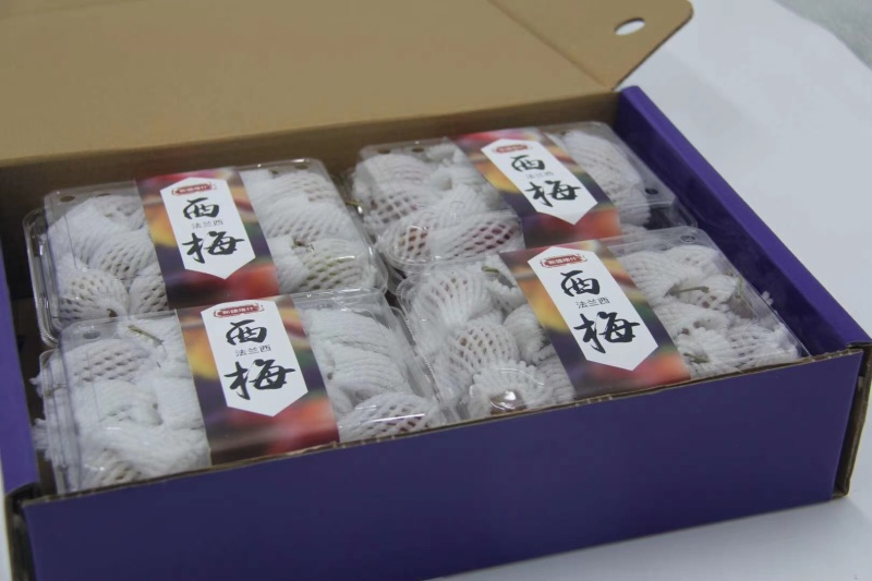 25年新疆法兰西西梅接受预定期待鲜果的到来