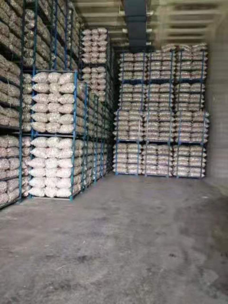 金乡大蒜，冷库出租，实力配资，代收代存代发全国各地