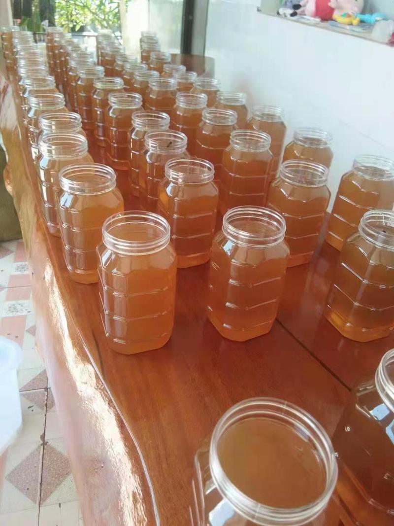 云南省西双版纳野生蜂蜜。