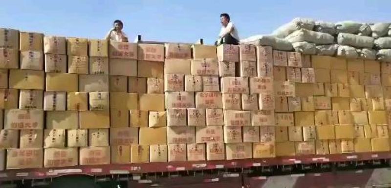 【地摊红枣】1元1袋新疆和田红枣跑江湖赶集大卖