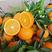 精品纽荷尔鲜橙优质脐橙品种齐全果园直发品质保障