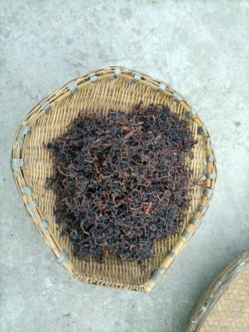 （1斤起批）薇菜/月亮苔，贵州山地自然生长，富含多维生素