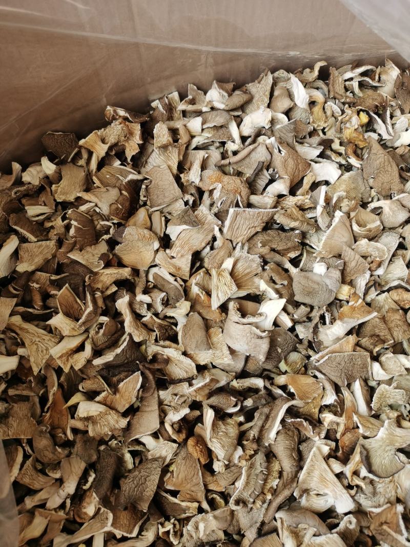 【精品】河北干平菇肥乡平菇邯郸平菇货源充足量大从优