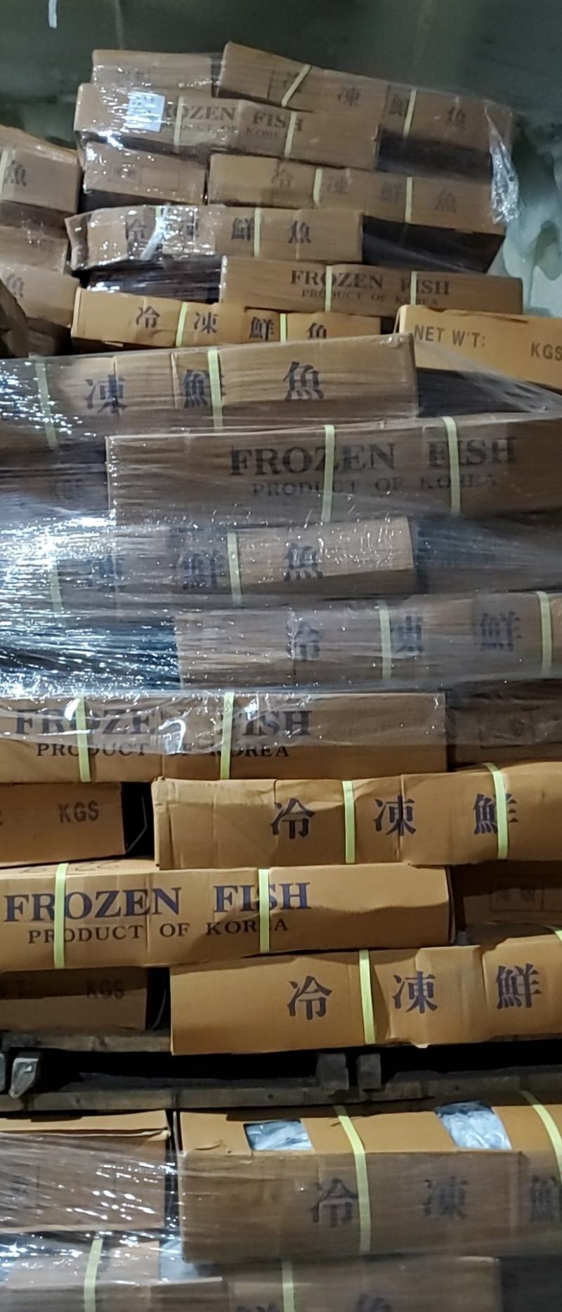冷冻大鲅鱼