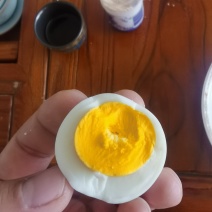 鸡