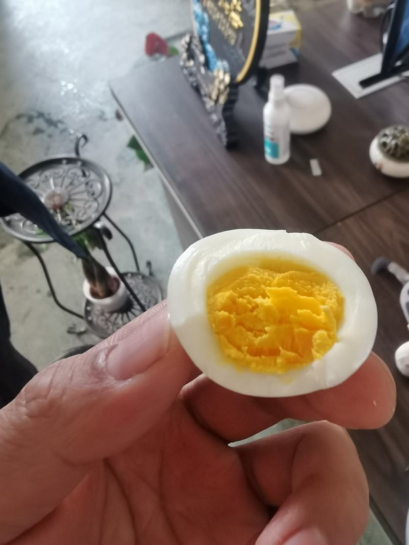 鸡