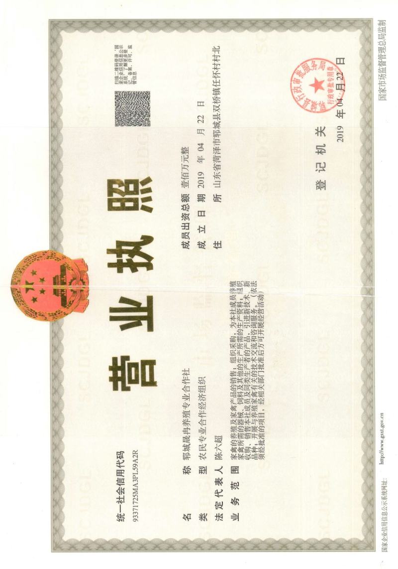鸡