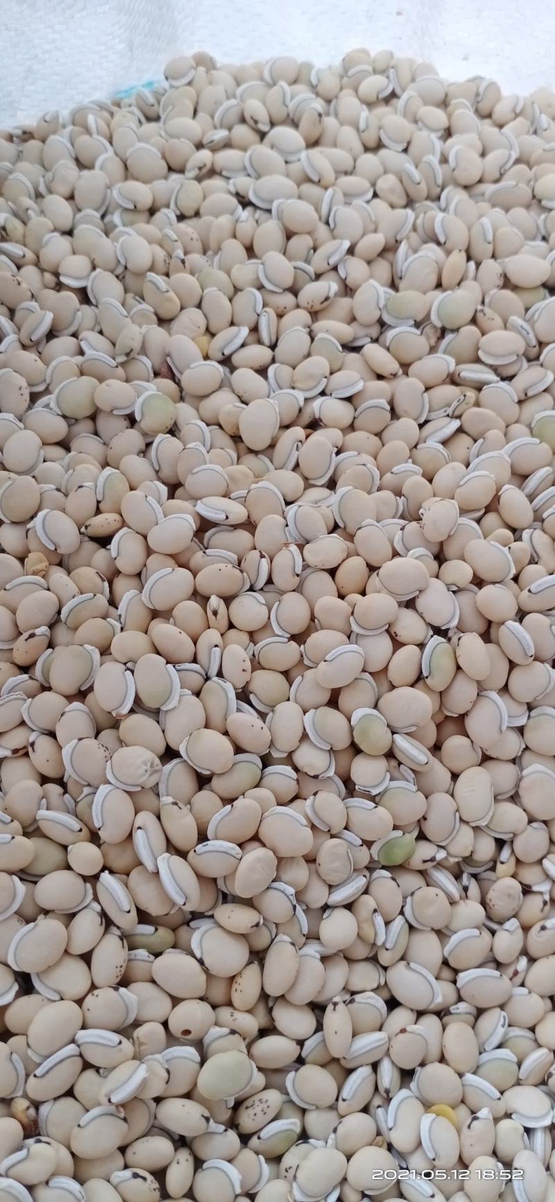 白扁豆，云南小颗粒白扁豆，药豆，药厂标准，质量好