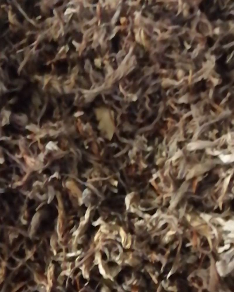 茶叶，高茶，老阴茶