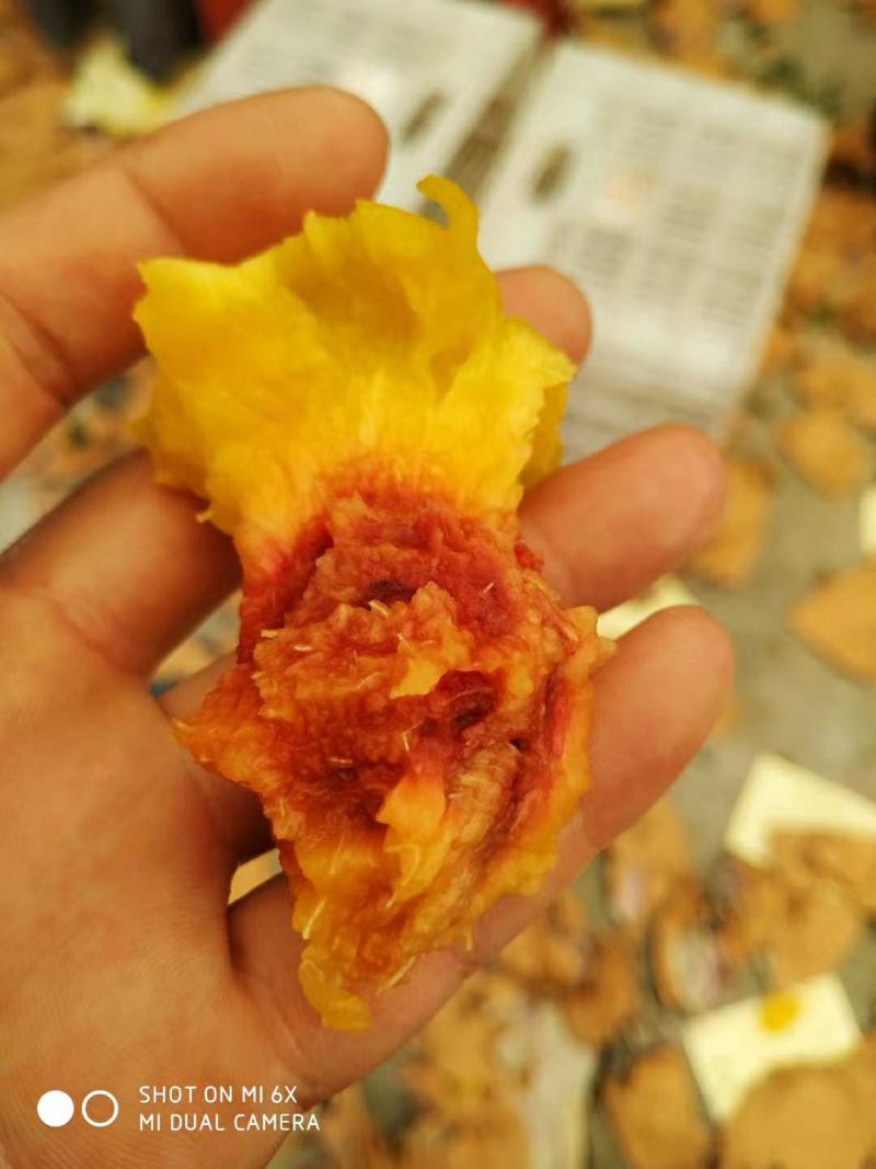 黄桃，锦绣黄桃，4两黄金蜜三号，锦绣，