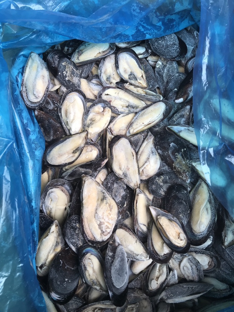 青口贝，去壳青口贝，烧烤好搭挡，质量非常肥