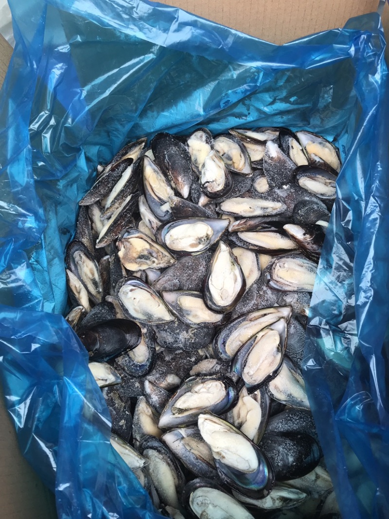 青口贝，去壳青口贝，烧烤好搭挡，质量非常肥