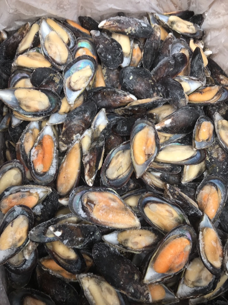 青口贝，去壳青口贝，烧烤好搭挡，质量非常肥