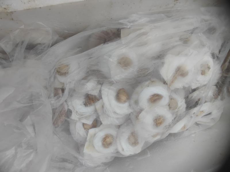 扇贝粉丝，单冻，质量很好，欢迎老板前来洽谈