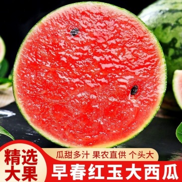 早春红玉西瓜产地值供，量大从优欢迎咨询
