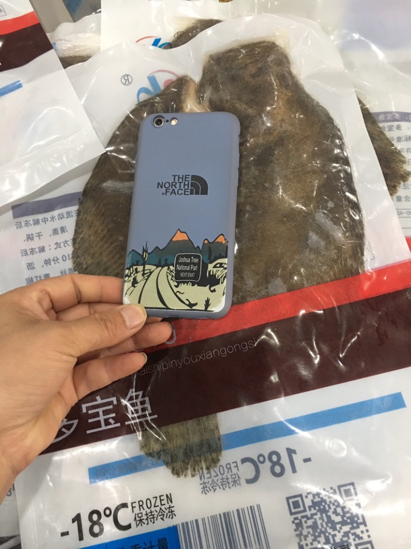 产地直发三去多宝鱼1斤左右又叫比目鱼