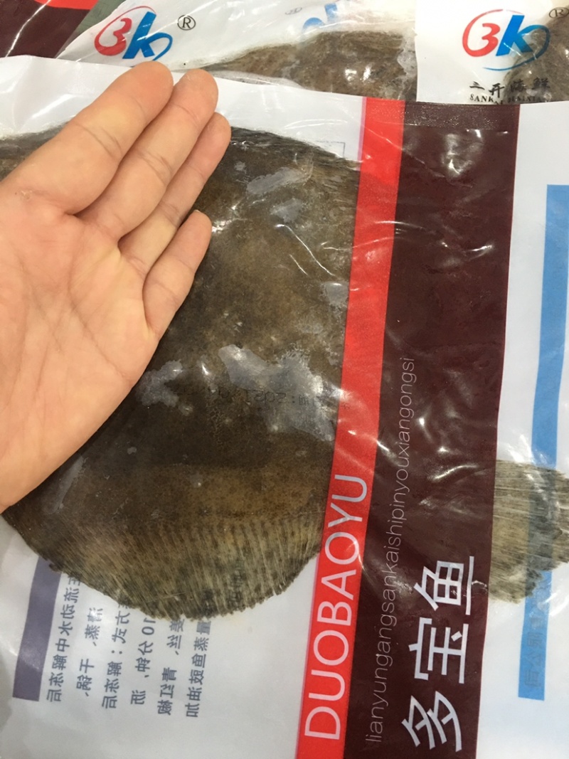 产地直发三去多宝鱼1斤左右又叫比目鱼