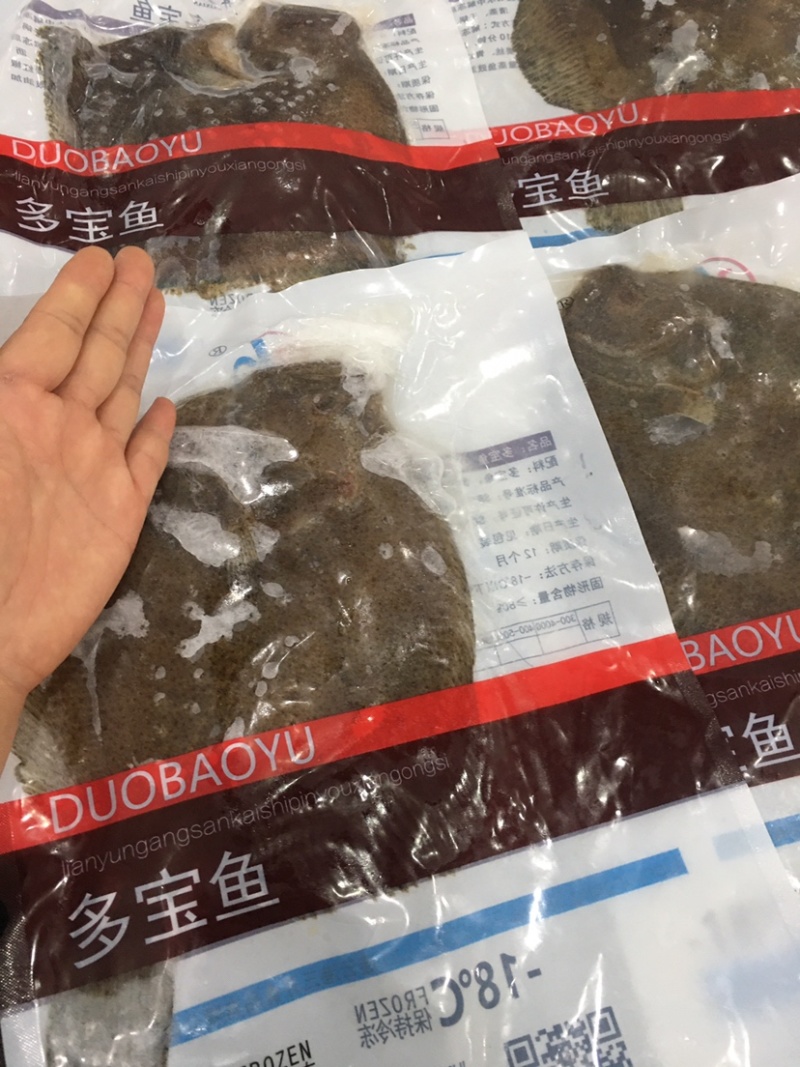产地直发三去多宝鱼1斤左右又叫比目鱼