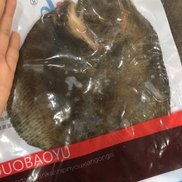 产地直发三去多宝鱼1斤左右又叫比目鱼