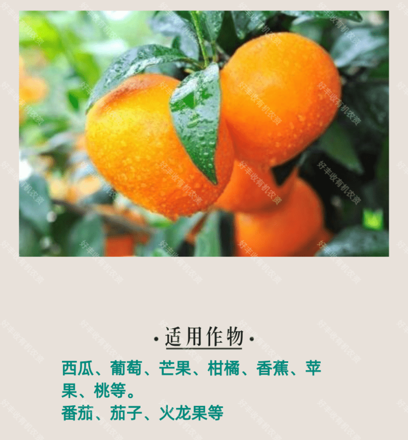 奥丰奥果美钾钾苹果桃子柑橘芒果增红膨大果实提质增产增甜