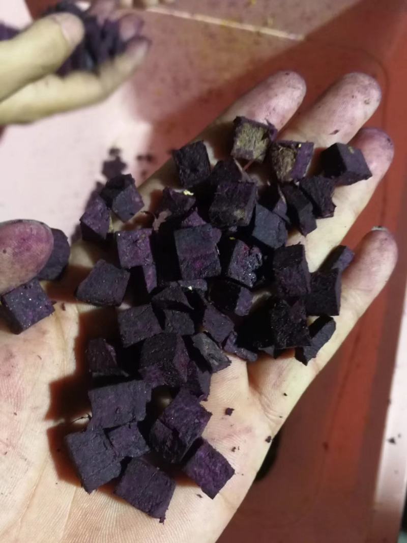 基地直供济黑一，济黑2，凌紫等紫薯加工薯要的电话联系