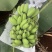 苹果蕉
