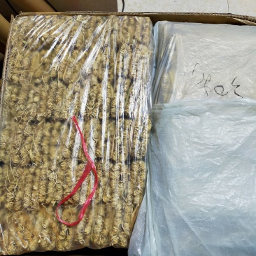 韶关枫湾特产养肝草，丝线根龙须草，号称〈小人参〉一扎十把