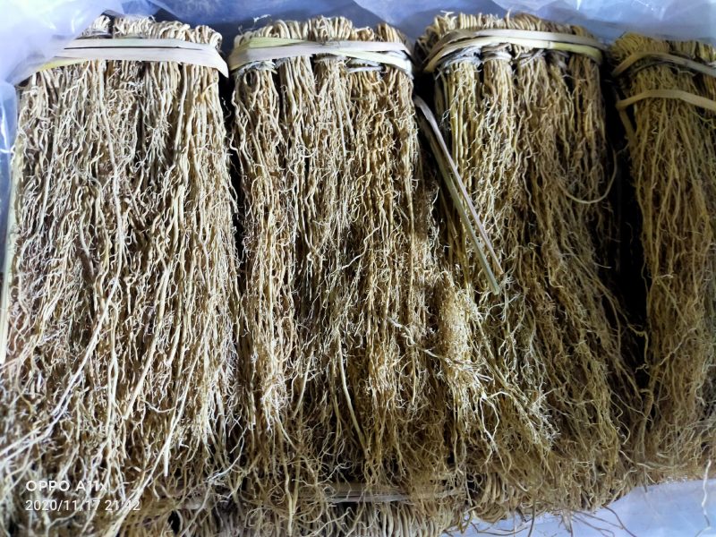 韶关枫湾特产养肝草，丝线根龙须草，号称〈小人参〉一扎十把