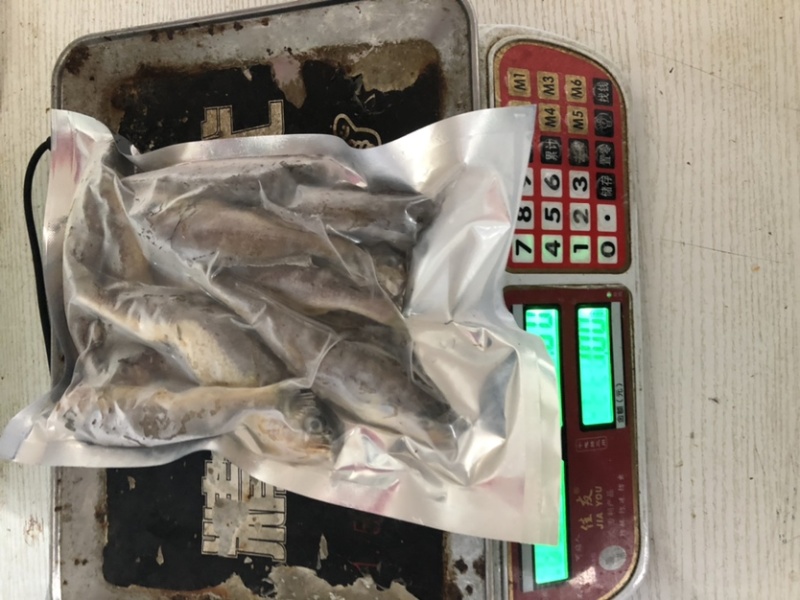 小黄鱼黄花鱼大黄鱼新鲜黄鱼，肉肥鲜美
