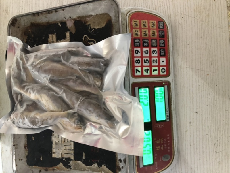 小黄鱼黄花鱼大黄鱼新鲜黄鱼，肉肥鲜美