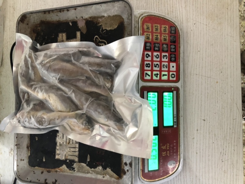 小黄鱼黄花鱼大黄鱼新鲜黄鱼，肉肥鲜美