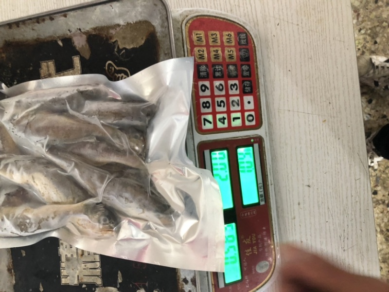 小黄鱼黄花鱼大黄鱼新鲜黄鱼，肉肥鲜美