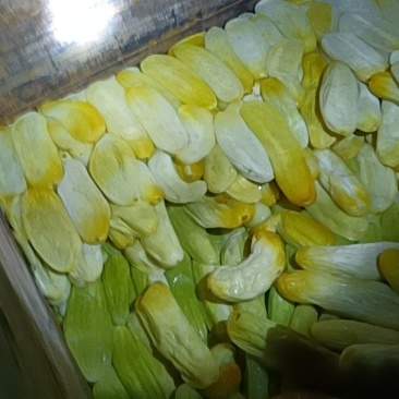 脆瓜