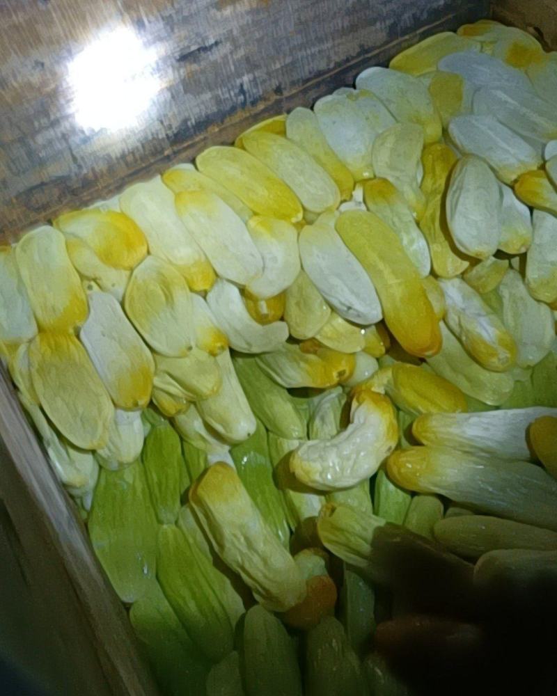 脆瓜