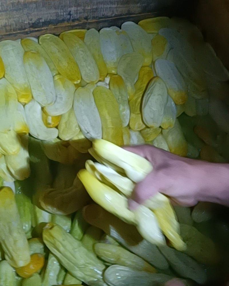 脆瓜