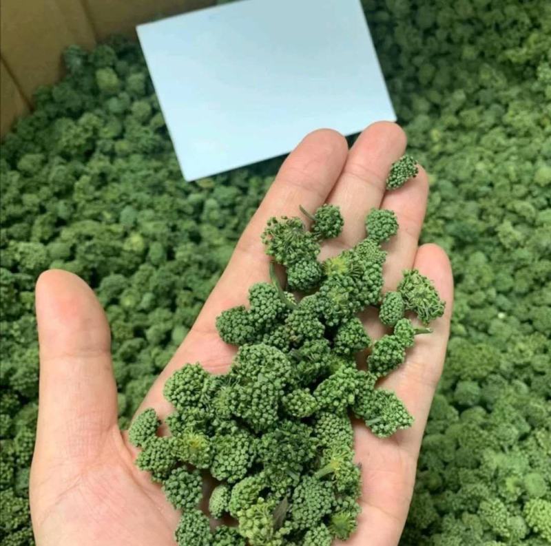 【文山发货】4年生头茬云南文山短柄三七花无硫新花包邮