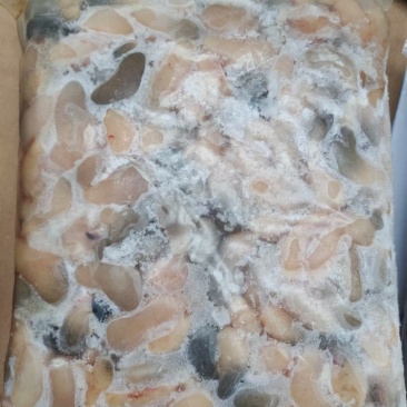 国产小鸡腰花腰子