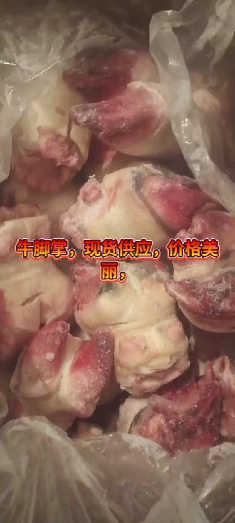 牛脚掌，火烧毛水退。