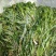 马来眼子菜，等各种高品质水生植物长期大量供货