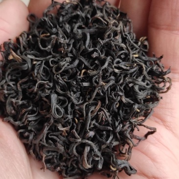 黄山茶叶祁门红茶红香螺功夫红茶高山茶园产地发货