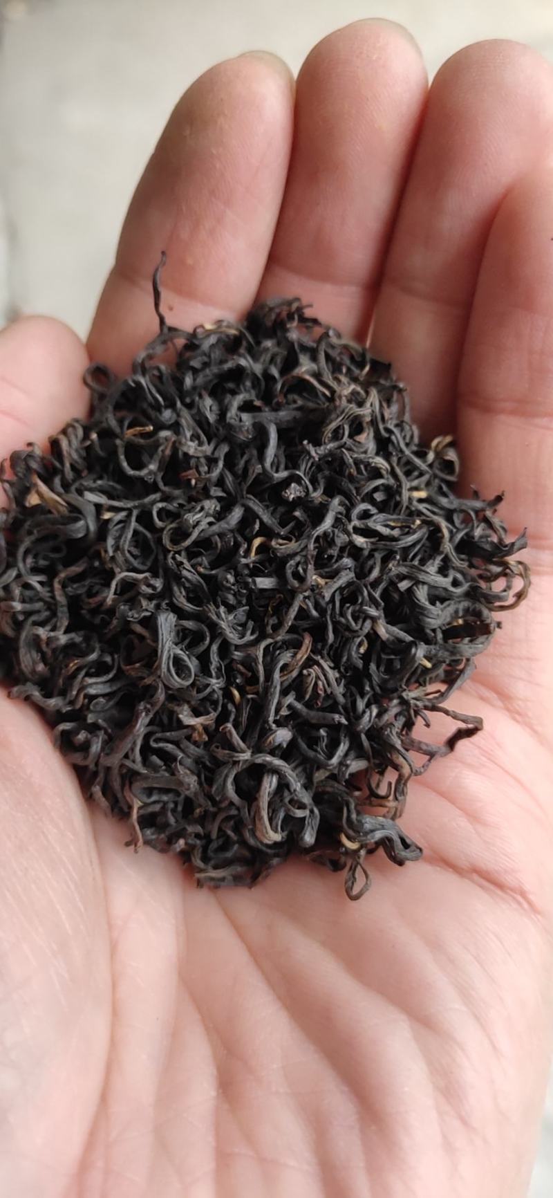黄山茶叶祁门红茶红香螺功夫红茶高山茶园产地发货